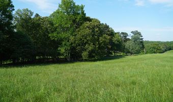 339 MCNUTT Rd, Bear Creek, AL 35543