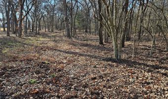 Lot 221 Banjo Court, Alvord, TX 76225