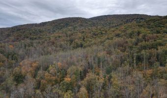 0 N Forks Rd, Amherst, VA 24521