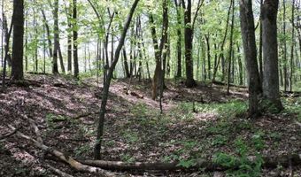4781 TURKEY TRAIL Lot # 19 Woodland Hts, Amherst, WI 54406