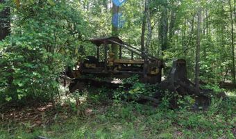 1091 Pine Grove Rd, Batesburg Leesville, SC 29006