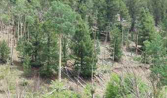 Lots 1-4 block 4, Bonanza, CO 81155