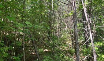 Fortner Road, Ball Ground, GA 30107