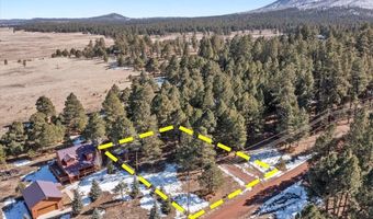 24 Co Rd 2065, Alpine, AZ 85920