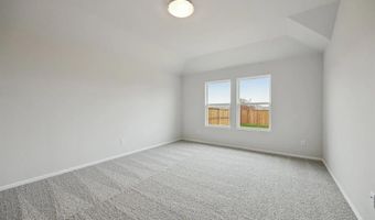 216 Tartane Dr, Anna, TX 75409