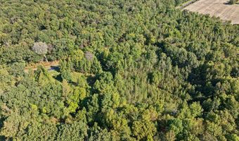 PINEPITCH Road, Harrington, DE 19952