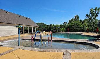 10211 Stellata Ln, Apison, TN 37302