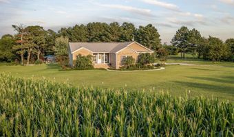 264 Ford Ave, Albertville, AL 35951