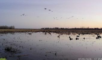 3300 Sheppard Island Rd, Altheimer, AR 72004