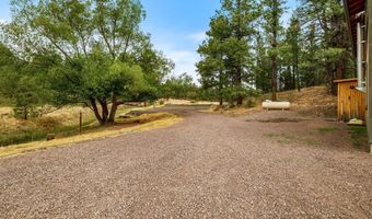 28 County Rd 2310, Alpine, AZ 85920
