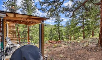 226 Hall Rd, Bailey, CO 80421