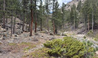 122 Black Hollow Rd, Bellvue, CO 80512