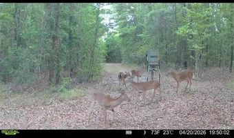 4814 NW 244 Ave, Alachua, FL 32615