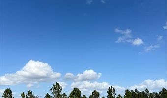 2510 W Butkus Rd, Avon Park, FL 33825