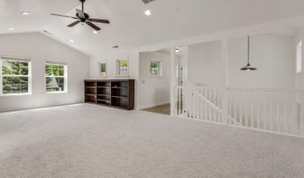 355 Meadow Dr, Basalt, CO 81621