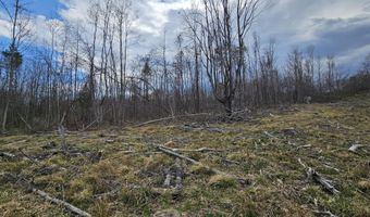 295 Shellstone Rd, Amsterdam, NY 12010