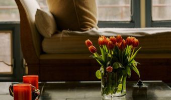 925 W North St, Aspen, CO 81611