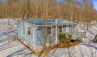 419 Algerine St, Afton, NY 13730