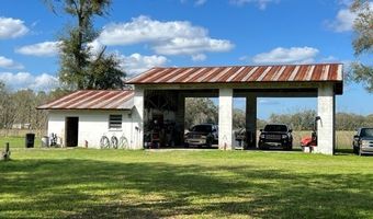 10 SW 50th Ave, Bell, FL 32619