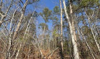 1106 LONGLEAF Way, Lincolnton, GA 30817