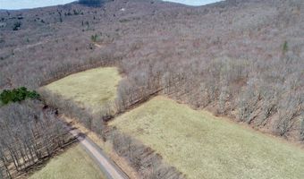 Lot 2 Doig Hollow Road, Andes, NY 13731