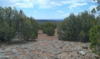 74 Co Rd, Concho, AZ 85924