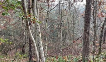 Kimiko Lane lot 43, Balsam Grove, NC 28708