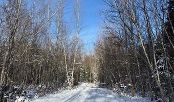 US-1 lot 10, Baring Plt, ME 04694