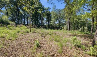 Hilton Trail, Baker, FL 32531
