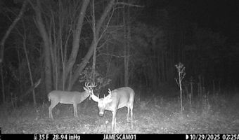 0 W Captina Highway Rd, Alledonia, OH 43902