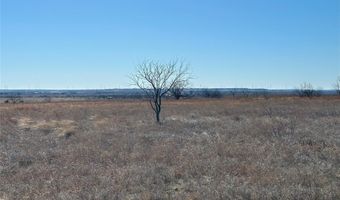 Tbd County Road 619, Pottsville, TX 76565