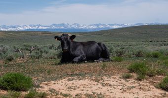 627 RYEGRASS Rd, Daniel, WY 83115