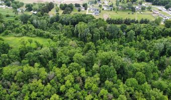 Parcel 2 68th Street, Allendale, MI 49401