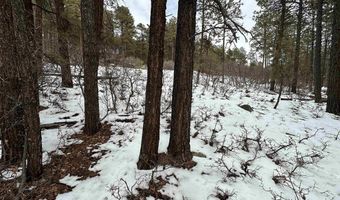 226 Elk Dr, Bayfield, CO 81122