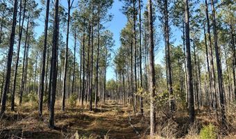 Highway 28, Abbeville, SC 29620