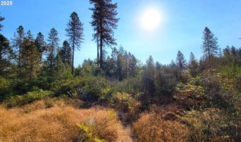 E Hunter RD 602E, Veneta, OR 97487