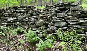 Woodland Hills Road, Andes, NY 13731