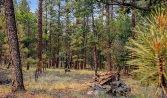 6 Co Rd 2074, Alpine, AZ 85920