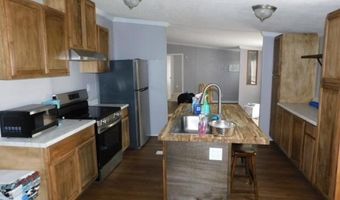 10302 Stage Coach Rd, Baconton, GA 31716