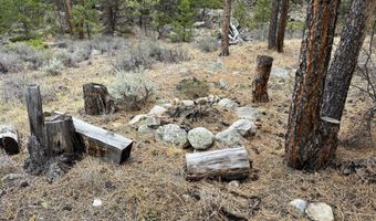 122 Black Hollow Rd, Bellvue, CO 80512