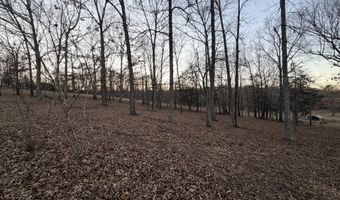 153 Private Road 204-184, Alton, MO 65606