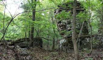 Whiskey Creek Lane, Batesville, AR 72501