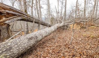 County Road 19-A, Alton, MO 65606