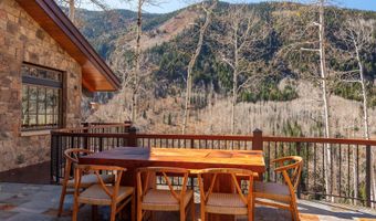 6770 Castle Creek Rd, Aspen, CO 81611