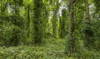 V/L 60th St Par C, Alto, MI 49302