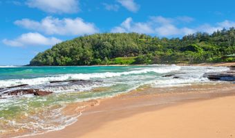 3590 MOLOAA Rd, Kapaa, HI 96746