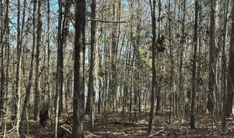 Lot 37 PETERSBURG Trace, Lincolnton, GA 30817