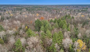 VL Wildwood Road, Alger, MI 48610