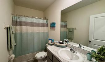 294 MANGROVE SHADE Cir, Apollo Beach, FL 33572