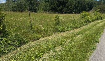 Tract 4 Old Kentucky Rd Hwy 528 lot 4, Albany, KY 42602